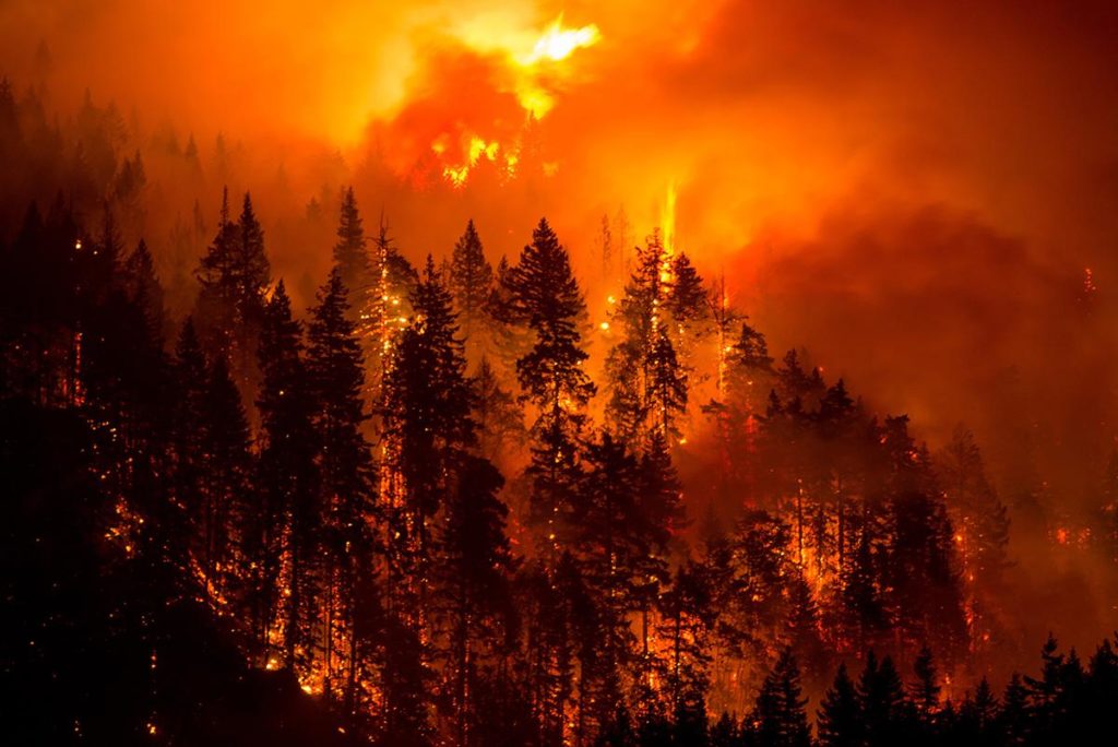 Raging wildfire image