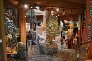 Large timber cross cut, rocks, and tree display in Discovery Museum lobby