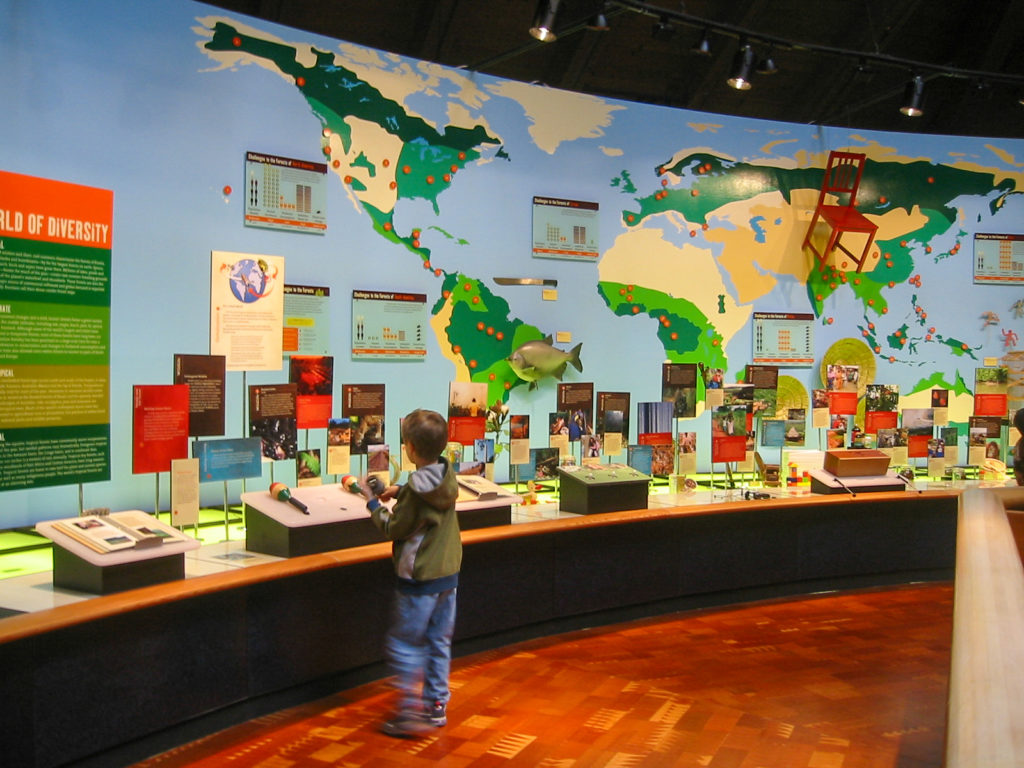 Young boy interacting with world map exhibit wall