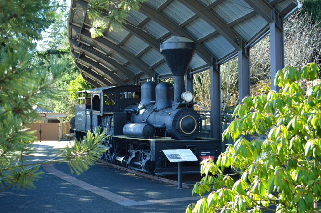 Peggy the Train framed by trees