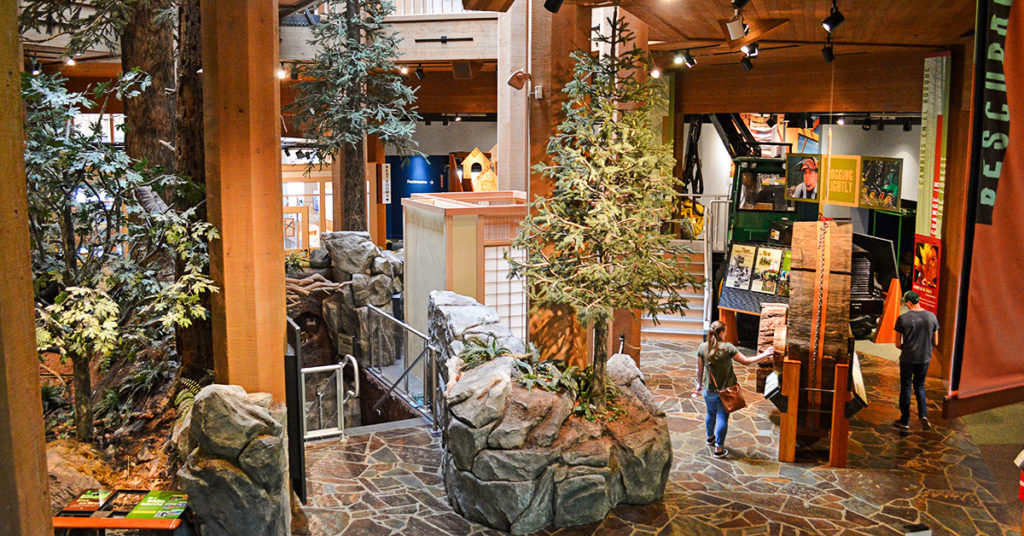 Museum lobby with boulders, trees, and signage