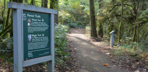 Trails and signage at Magness Memorial Tree Farm