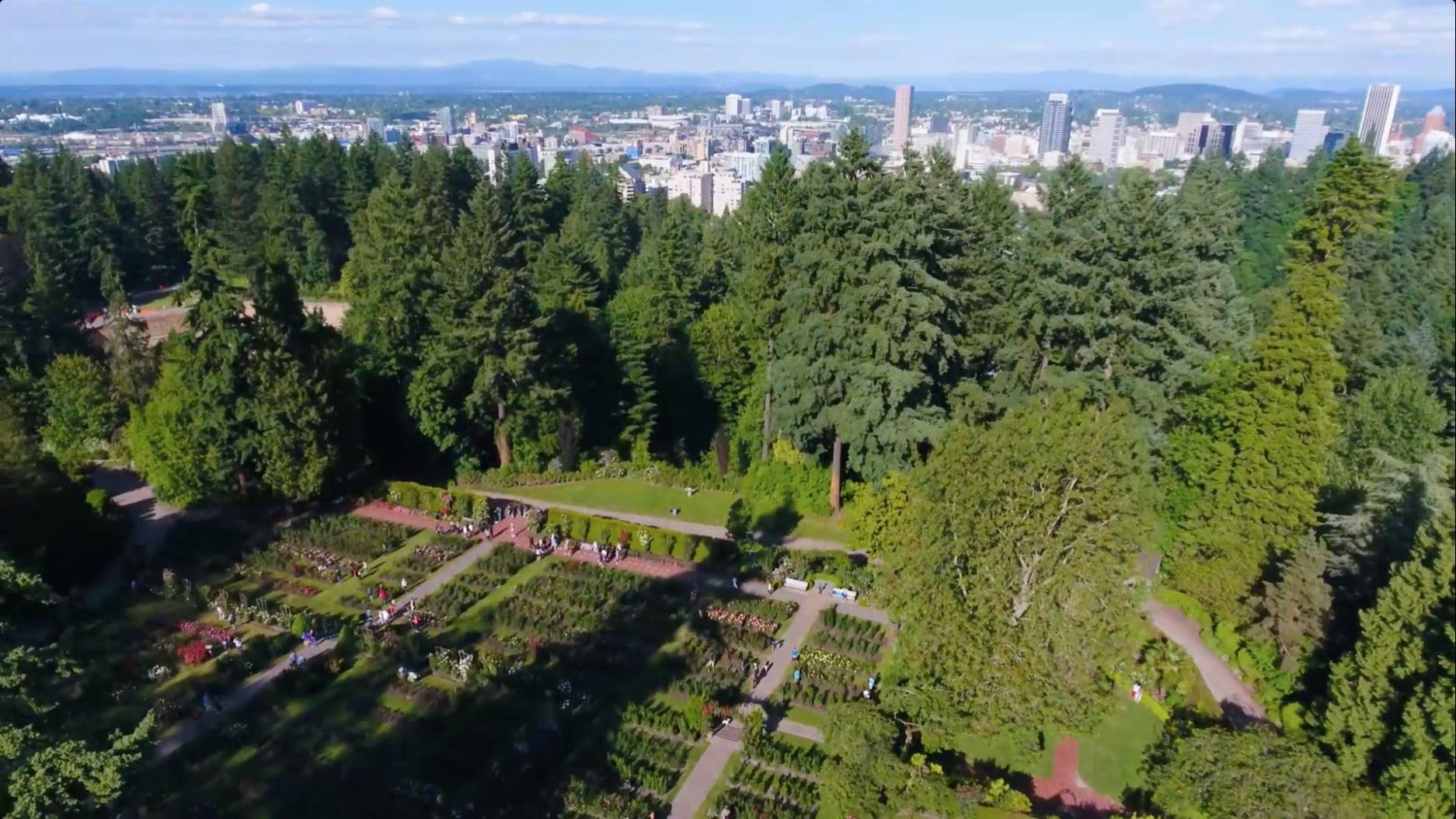 Aerial shot of forest and cityscape