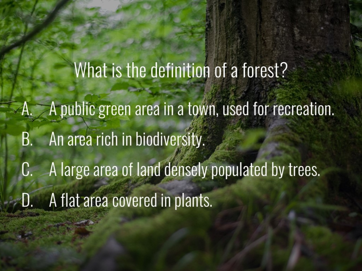 World Forestry Center_Forest Quiz_Slide1