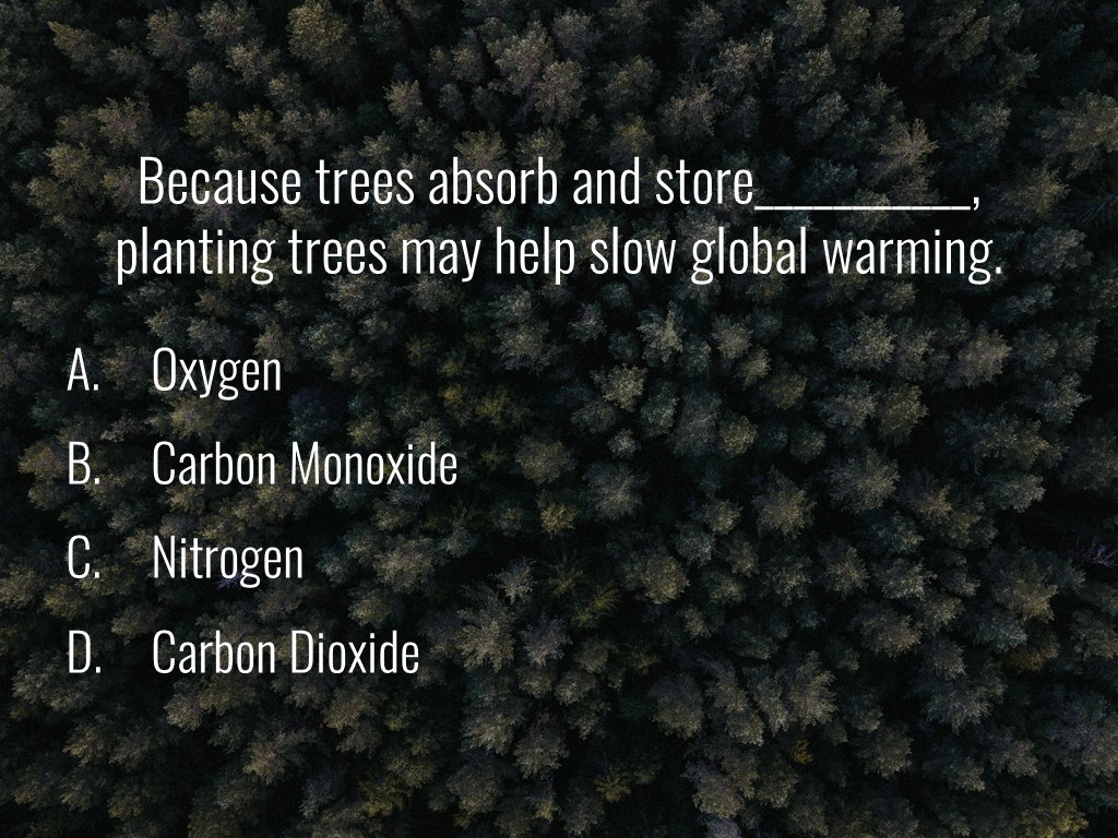World Forestry Center_Forest Quiz_Slide11