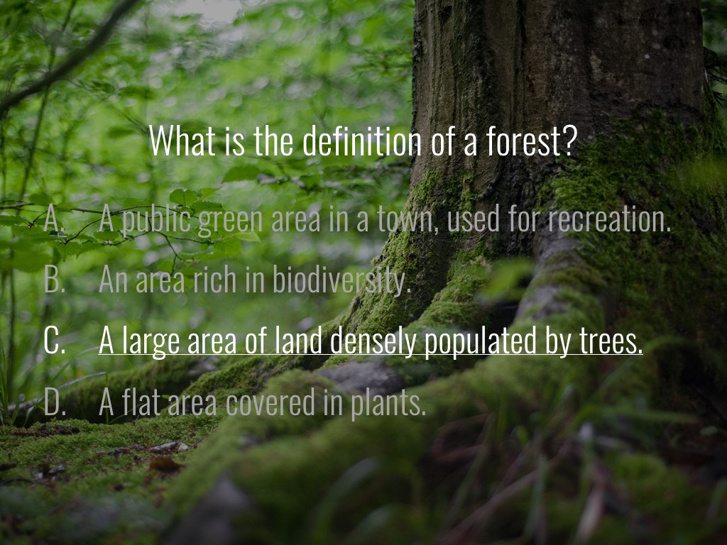 World Forestry Center_Forest Quiz_Slide2