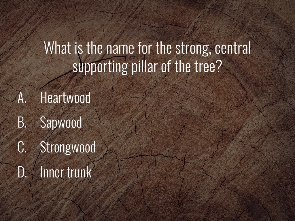 World Forestry Center_Forest Quiz_Slide29