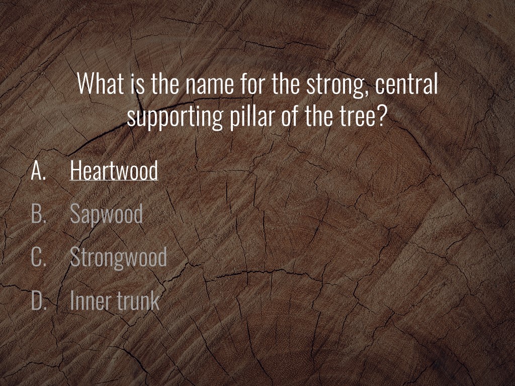 World Forestry Center_Forest Quiz_Slide30