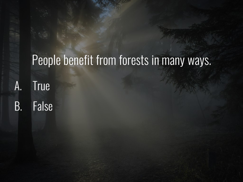 World Forestry Center_Forest Quiz_Slide39