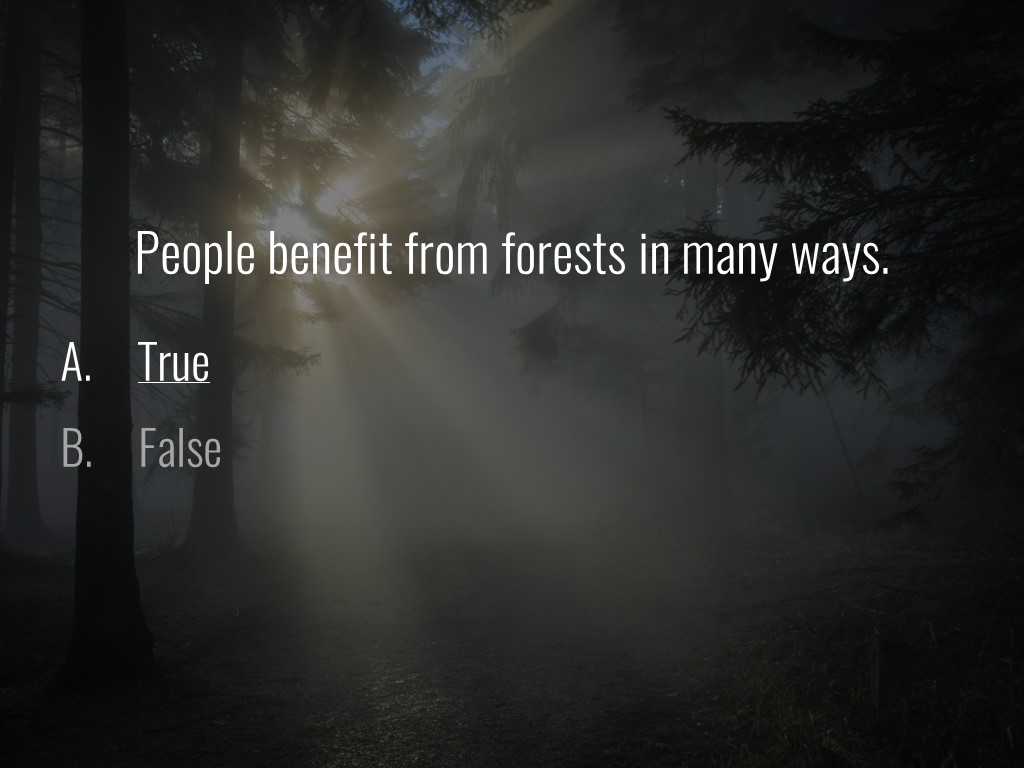 World Forestry Center_Forest Quiz_Slide40