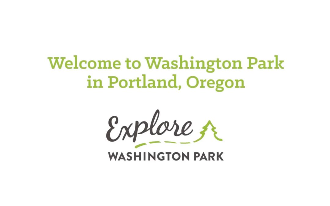 Take a Virtual Tour of Washington Park