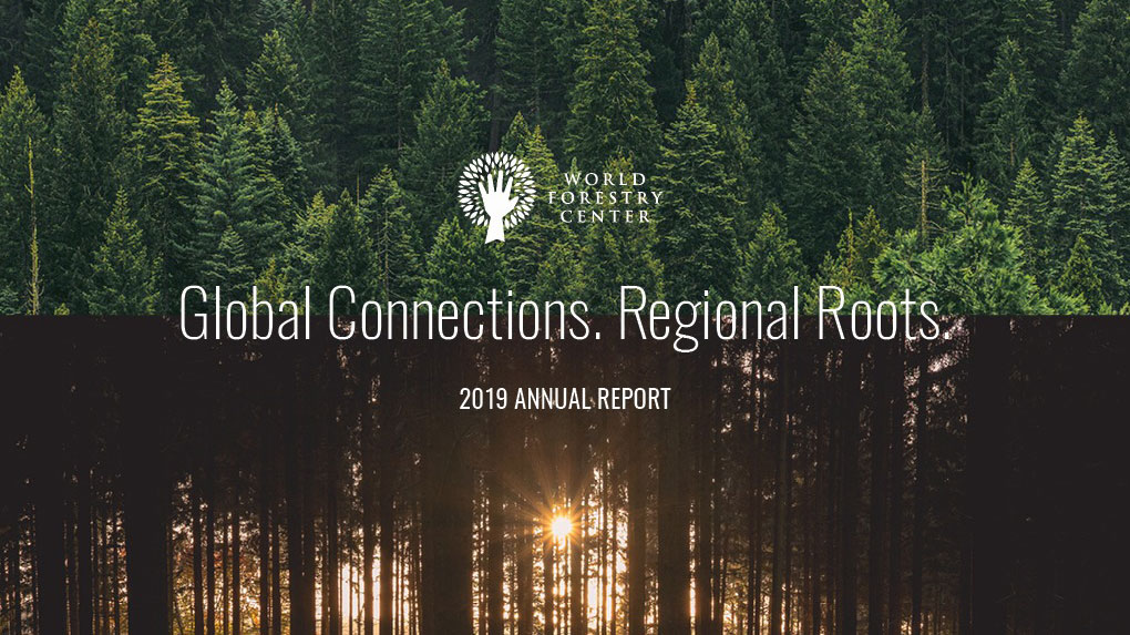 2019 Annual Report