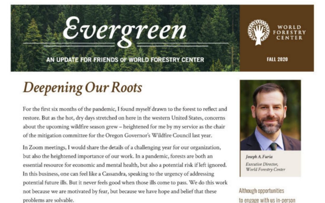 Evergreen Magazine | Fall ’20