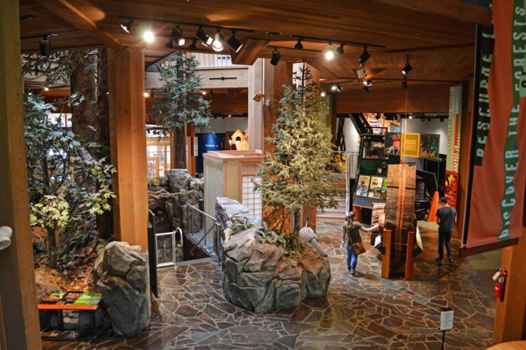 world forestry center discovery museum