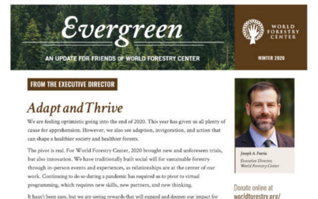 Evergreen Magazine | Winter ’20
