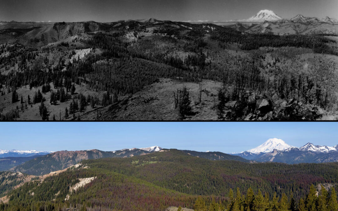 LISTEN: 150 Years of Forest Management with Dr. Paul Hessburg
