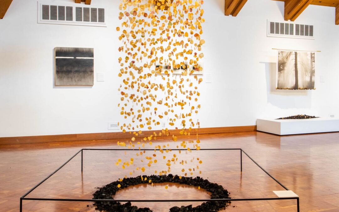 WATCH: Exploring “Rethinking Fire”