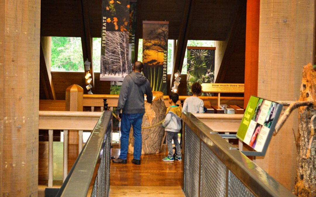 Free Sundays Return to the Discovery Museum