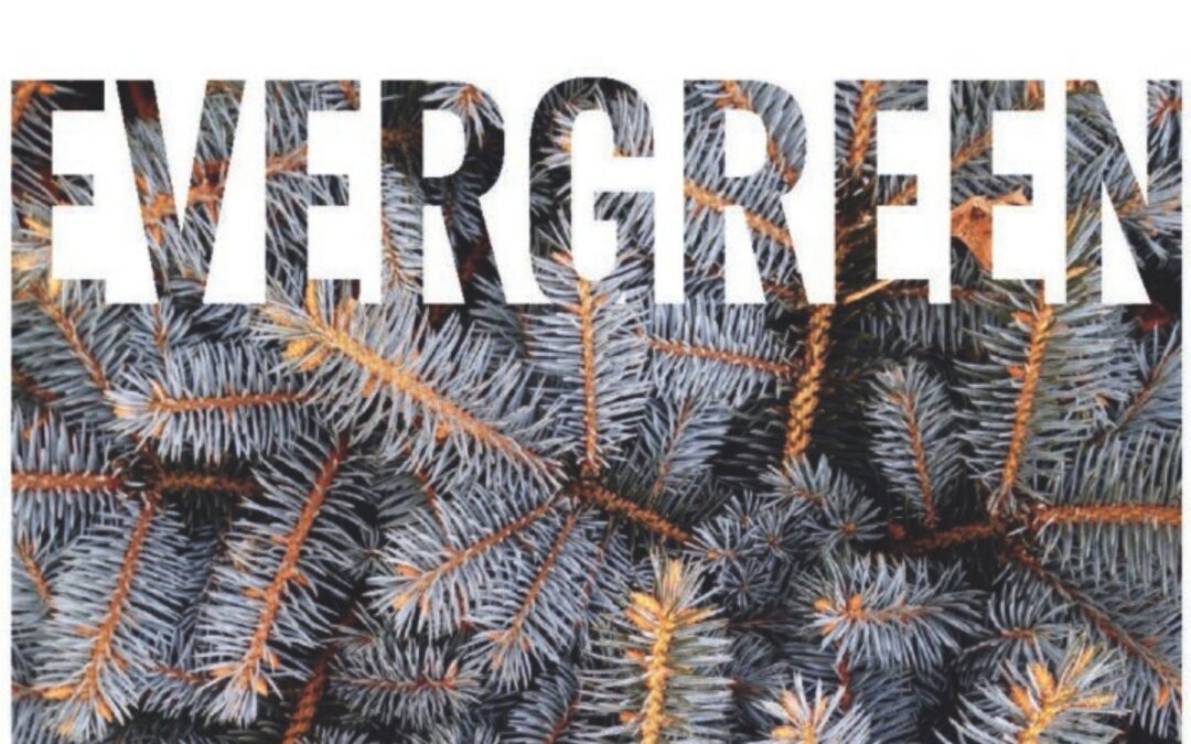 Evergreen Magazine | Winter ’23
