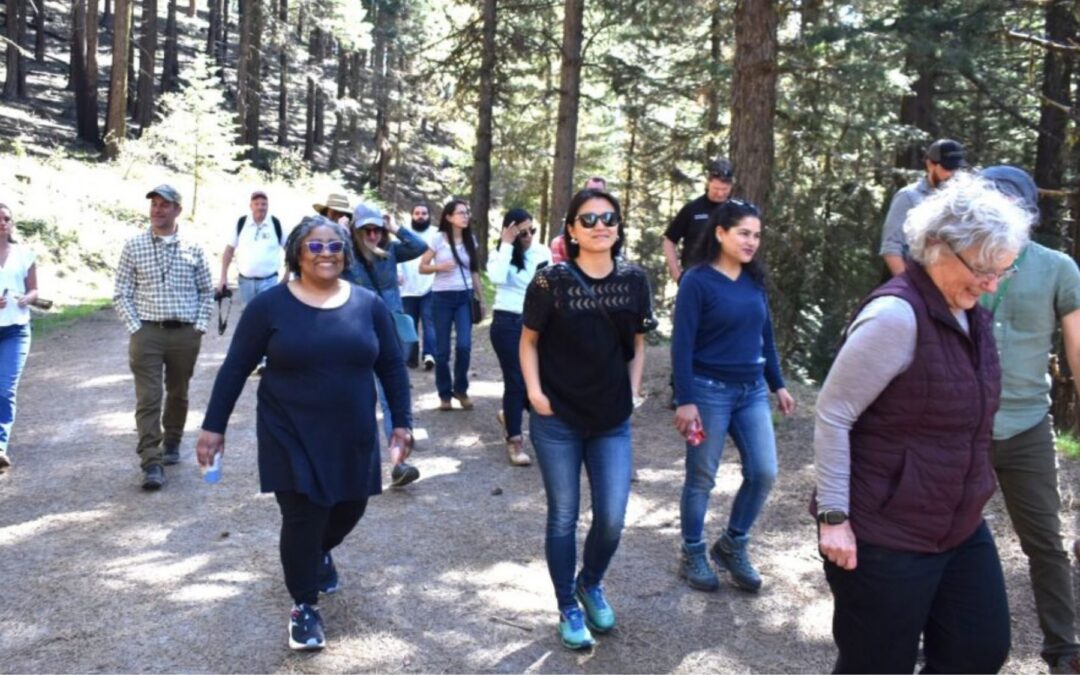 Fellowship Workshop in Medford