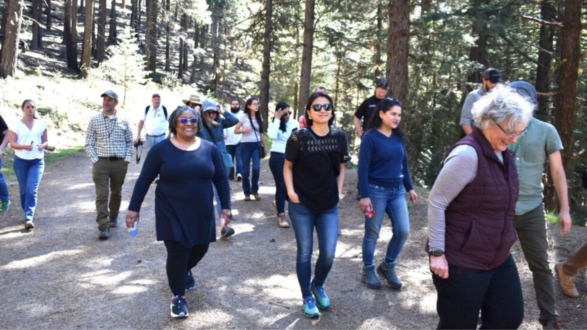 Fellowship Workshop in Medford