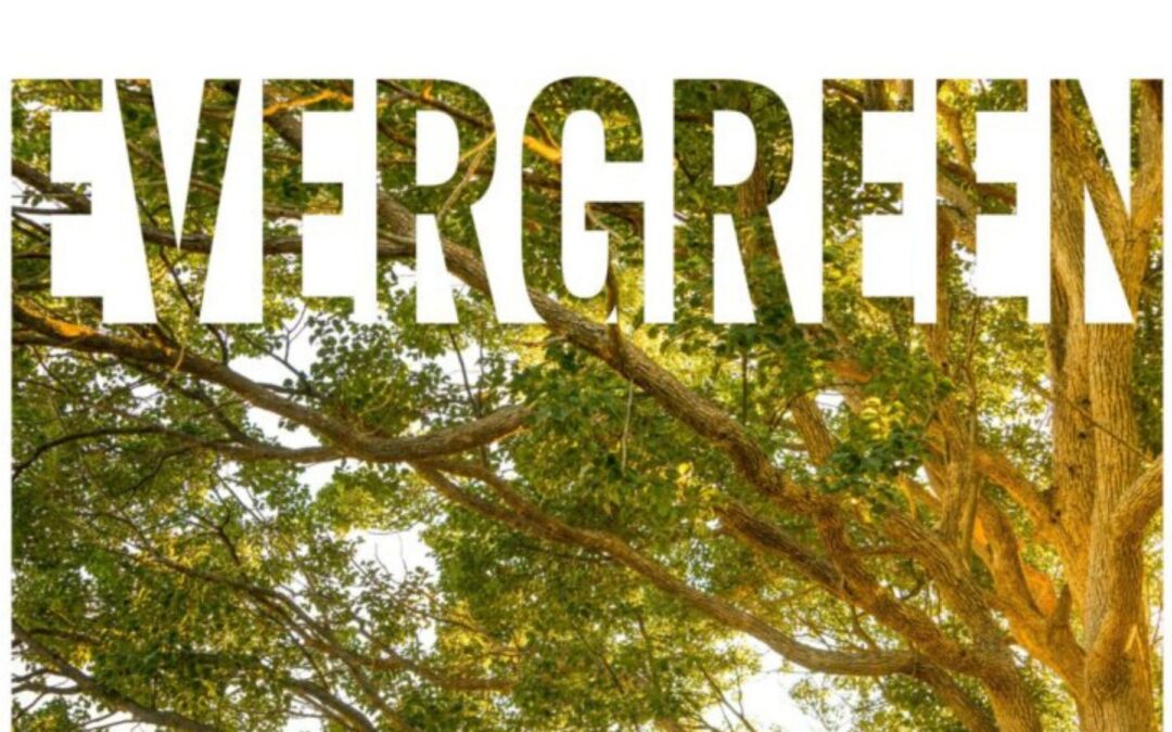 Evergreen Summer ’24