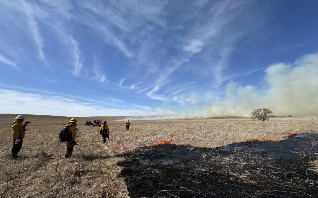 Perspectives on Wildfire: A Conversation with M.R. O’Connor