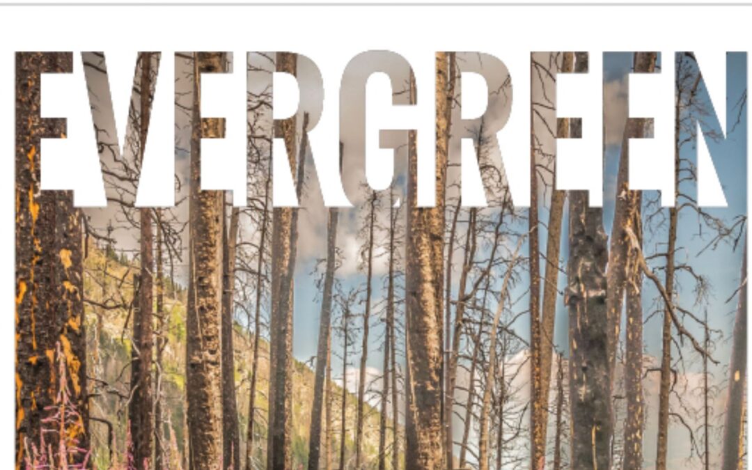 Evergreen Spring ’25