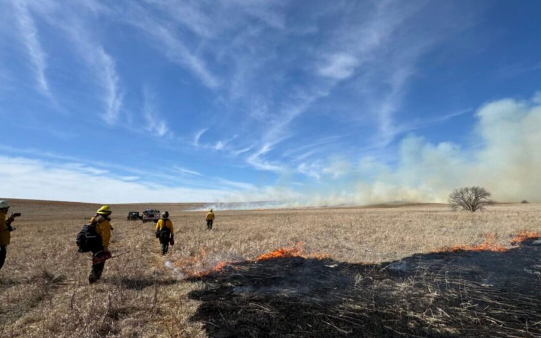 Perspectives on Wildfire: A Conversation with M.R. O’Connor