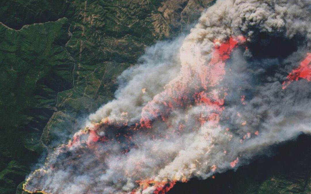 Wildfire Season Resources 2025