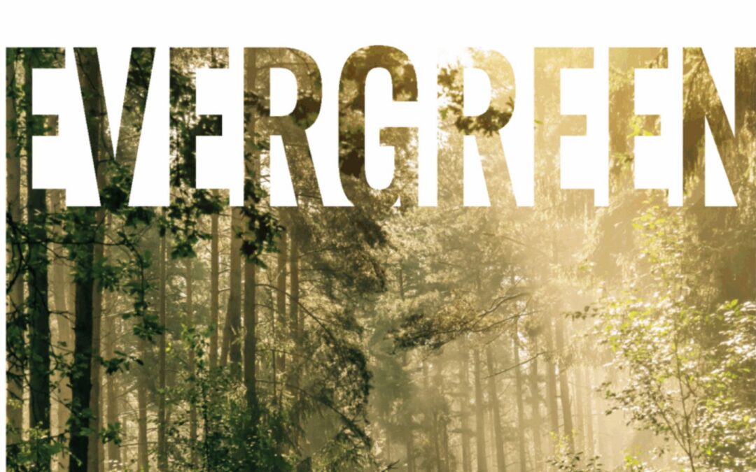 Evergreen Summer ’25