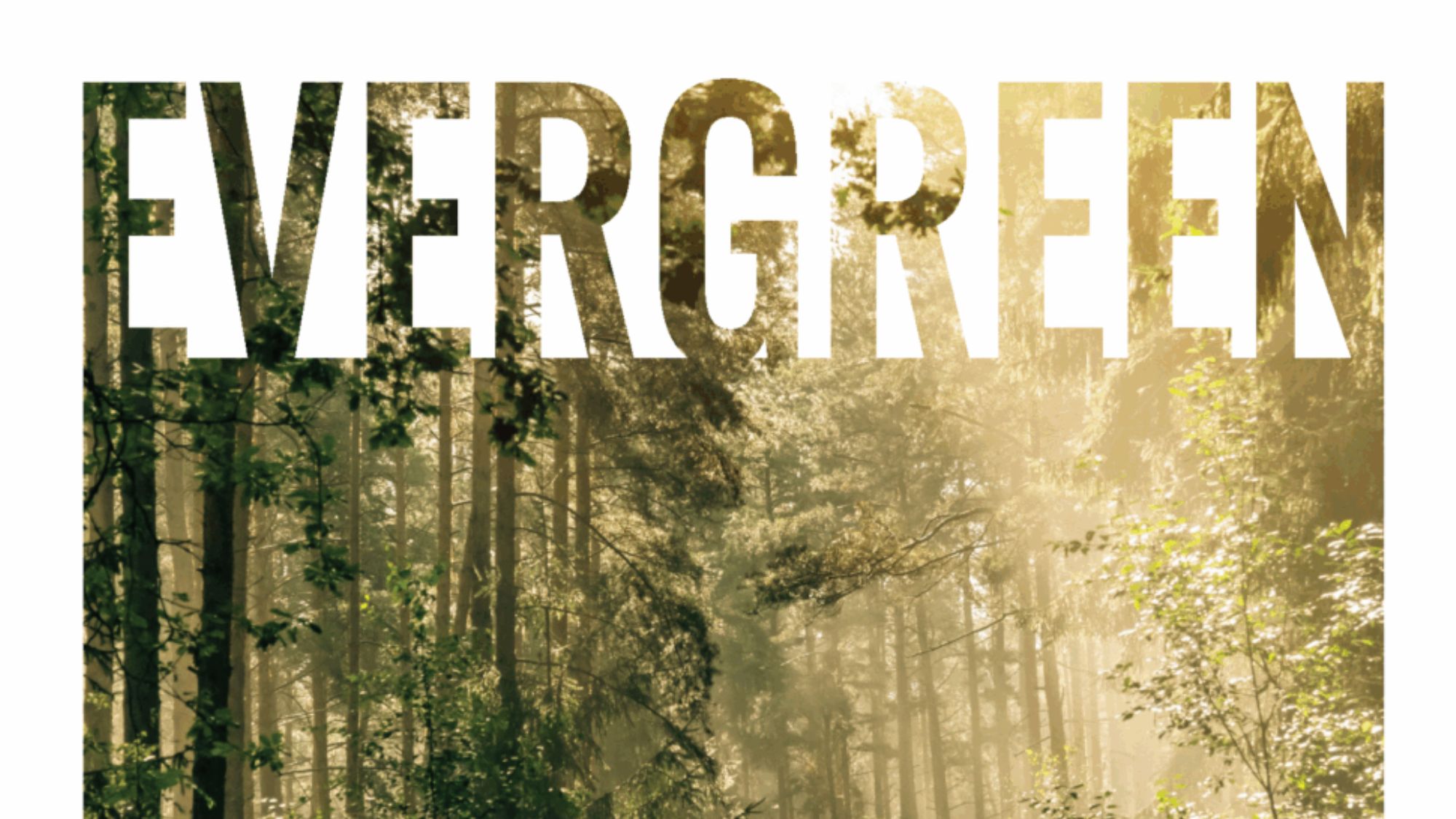 Evergreen Summer ’25
