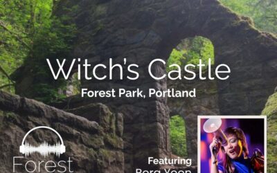 Forest Sound Walk: Witch’s Castle with Bora Yoon & Third Angle New Music