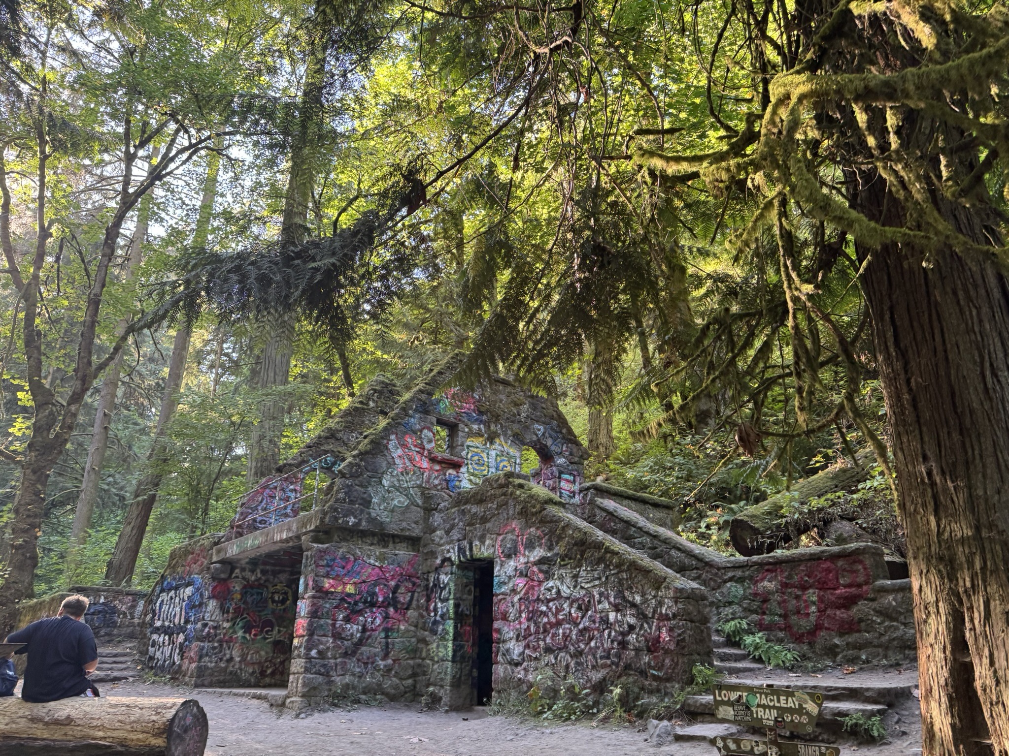 Forest Sound Walk: Witch's Castle with Bora Yoon & Third Angle New