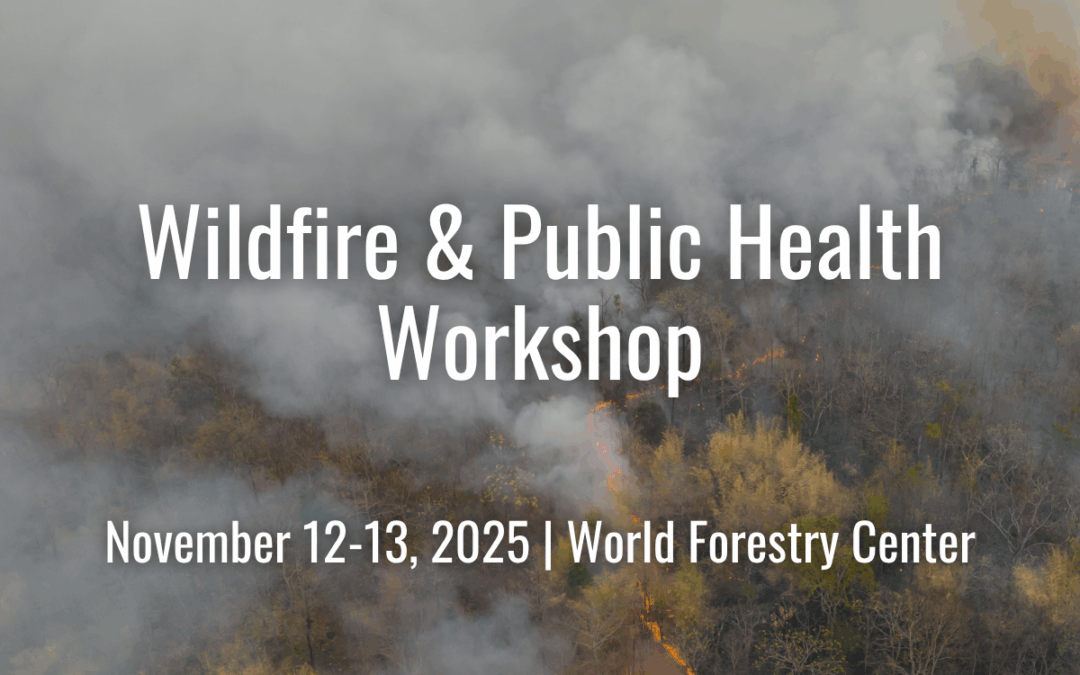 Workshop to Advance Wildfire Smoke as a National Public Health Priority