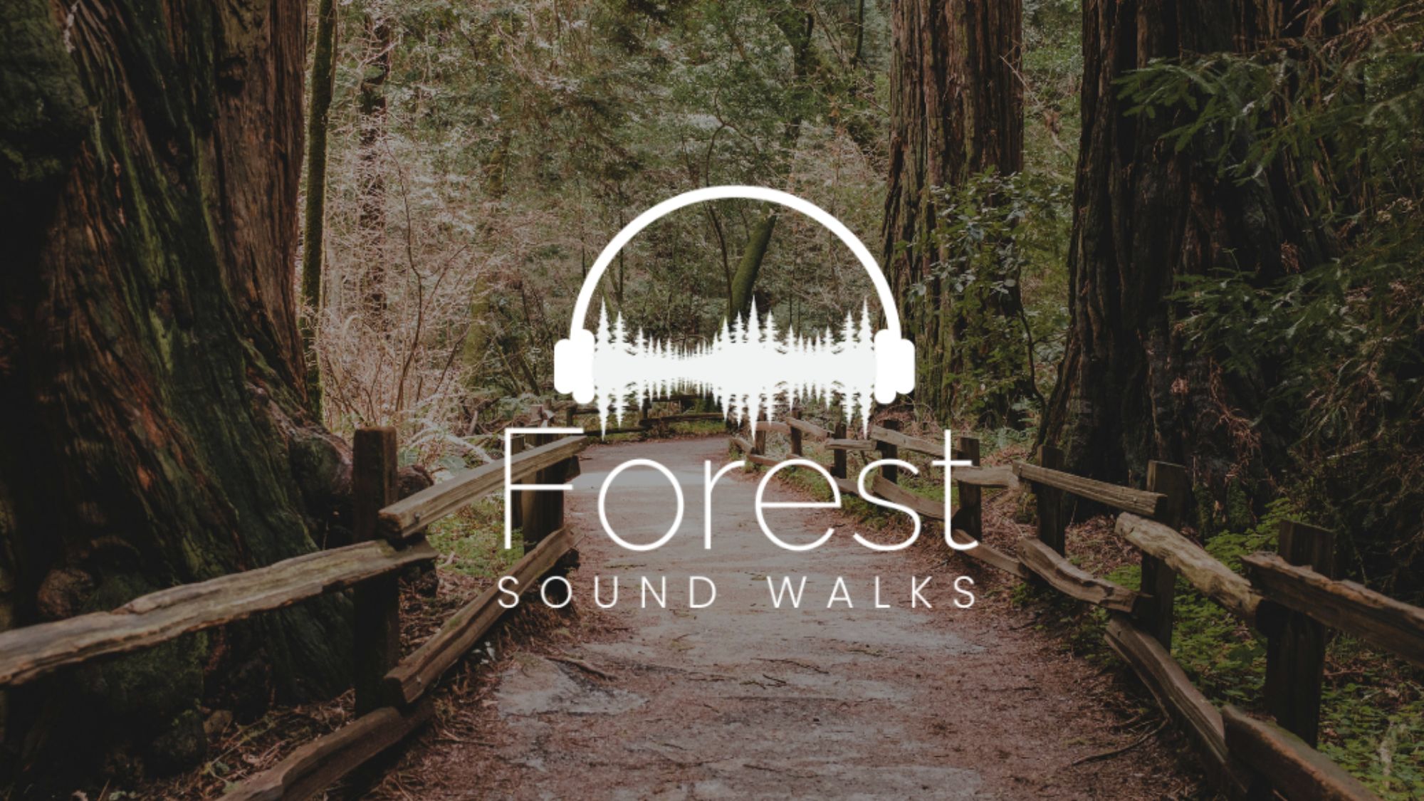 World Forestry Center announces Forest Sound Walks