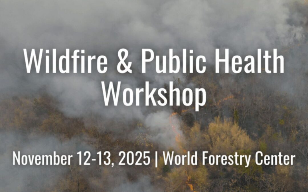 Workshop to Advance Wildfire Smoke as a National Public Health Priority