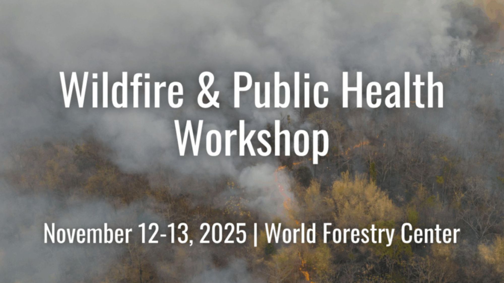 Workshop to Advance Wildfire Smoke as a National Public Health Priority