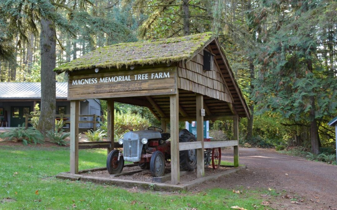 Magness Memorial Tree Farm Update