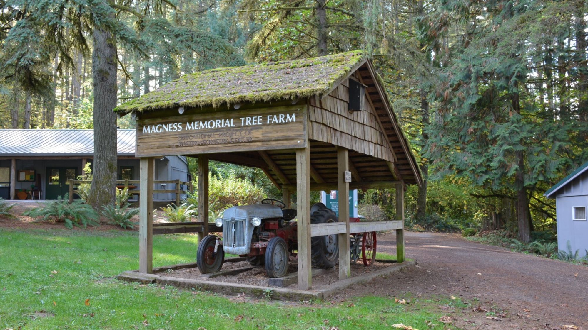 Magness Memorial Tree Farm Update