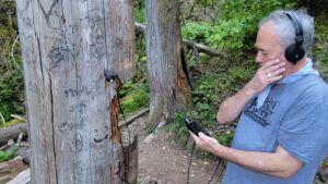 Person listening to audio device in the forest for the Forest Sound Walks program