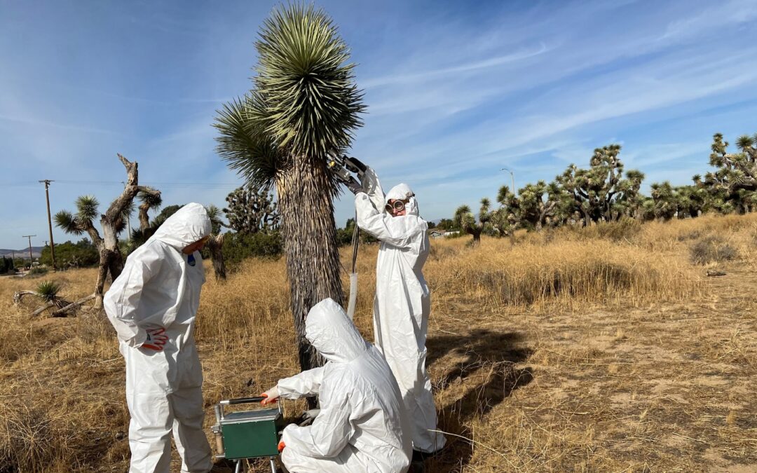 Forest Hope Through Innovation