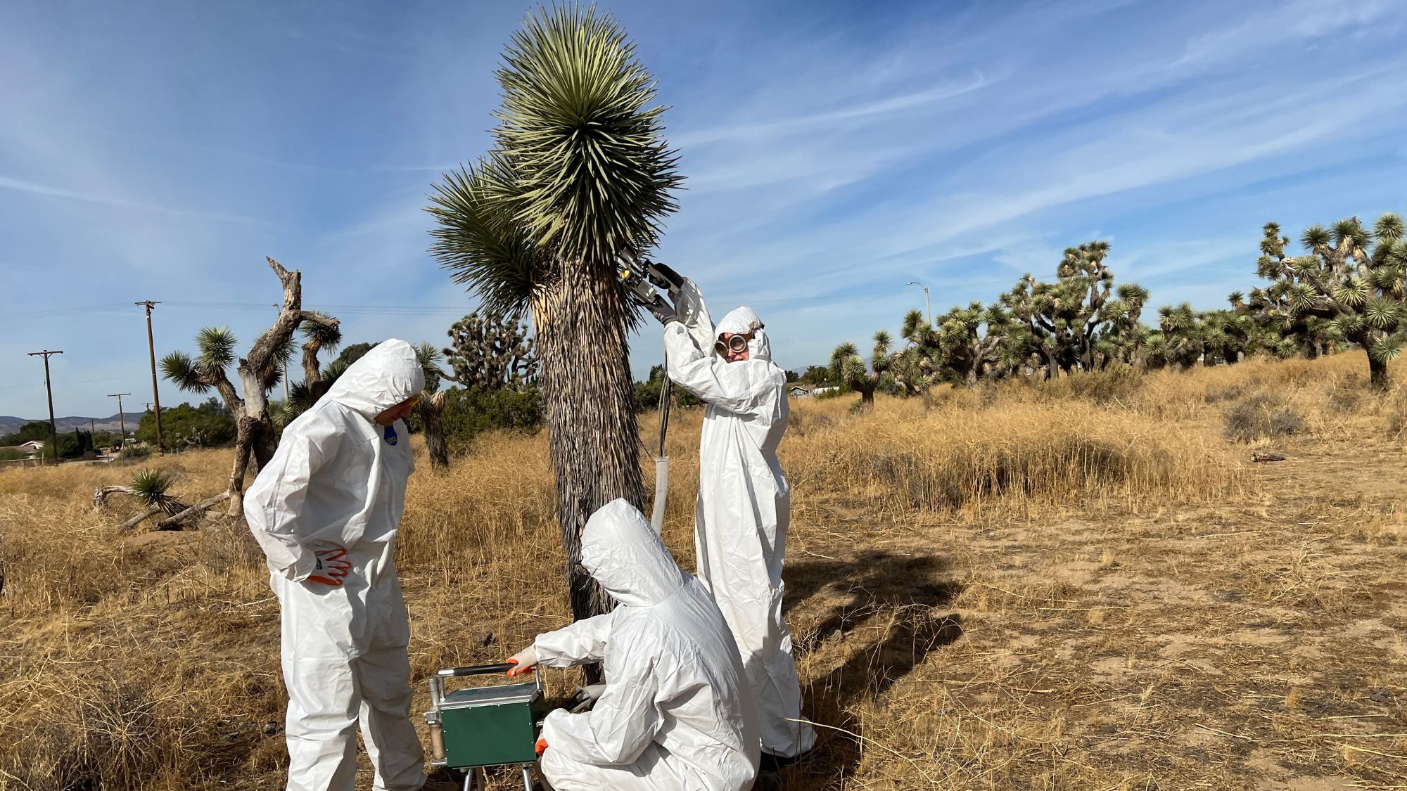 Forest Hope Through Innovation