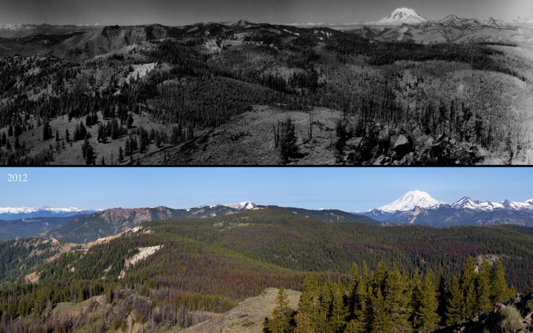 LISTEN: 150 Years of Forest Management with Dr. Paul Hessburg