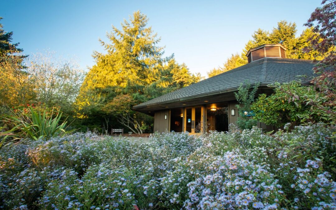 Returning to an Improved Campus