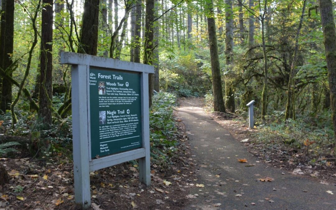 Magness Memorial Tree Farm Temporarily Closed Due to Staffing Constraints