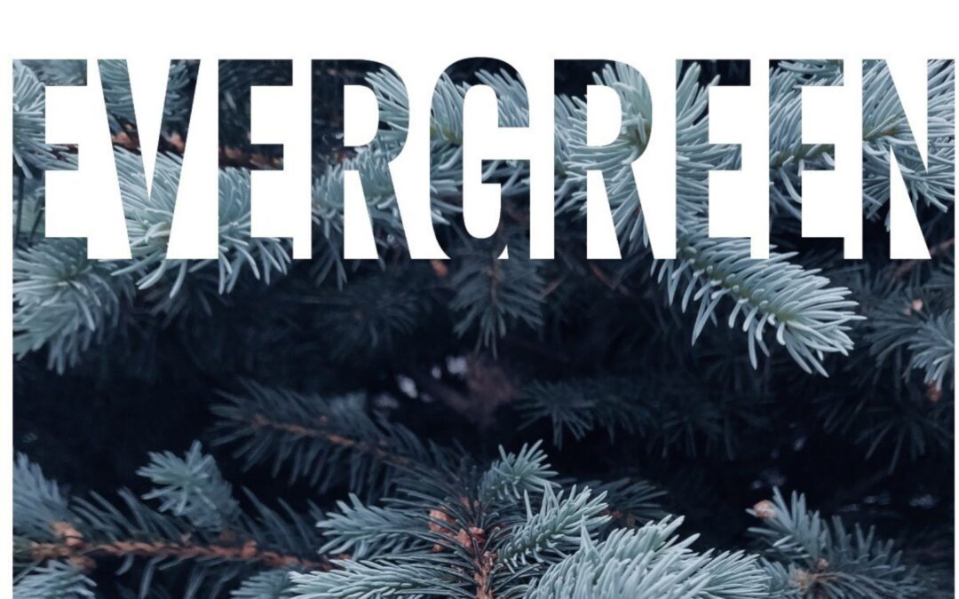 Evergreen Winter ’25