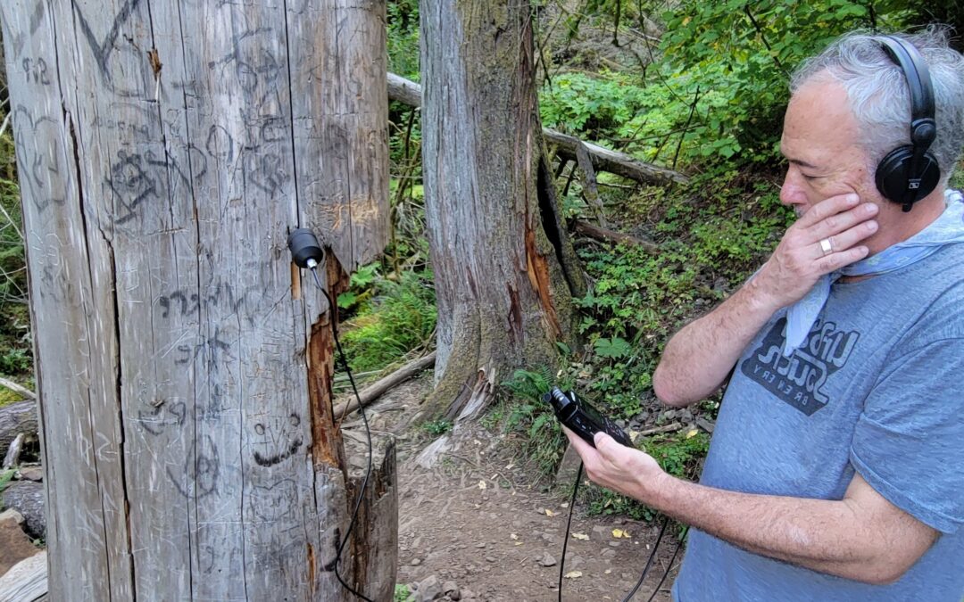 Forest Sound Walk: Multnomah Falls with Wayne Grim