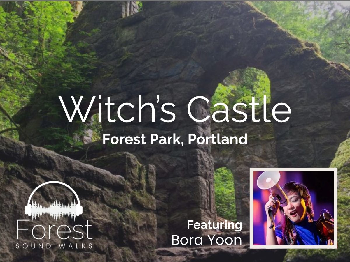 Banner graphic for Forest Sound Walks series with forest trail and logo