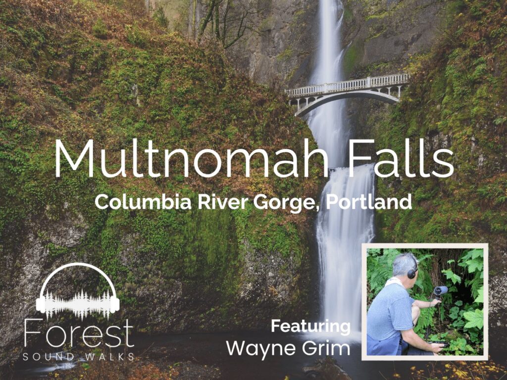 forest-sound-walks-multnomah-falls